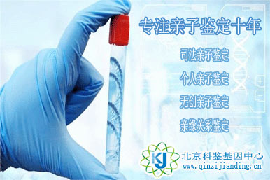 親子鑒定地圖