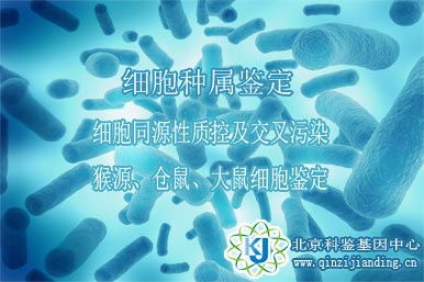 細(xì)胞種屬鑒定【10/13種屬】