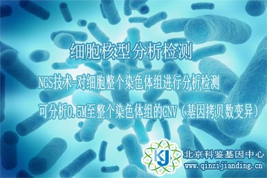 細(xì)胞核型分析【NGS】