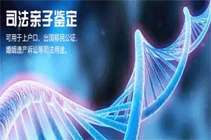 司法親子鑒定報(bào)告有哪些內(nèi)容？