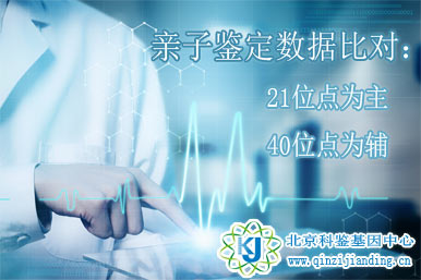 親子鑒定數(shù)據(jù)比對(duì)