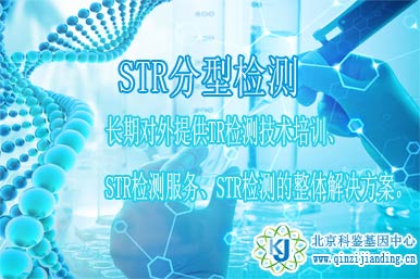 STR分型檢測