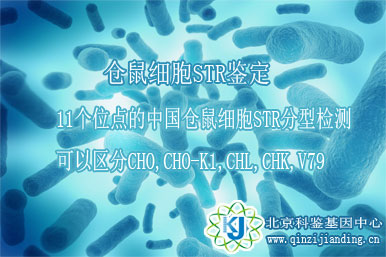 倉(cāng)鼠細(xì)胞鑒定