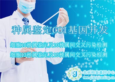 種屬鑒定COI基因開(kāi)發(fā)