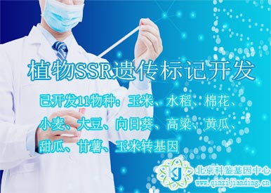 植物SSR遺傳標(biāo)記開(kāi)發(fā)