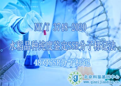 水稻品種純度鑒定SSR分子標(biāo)記法