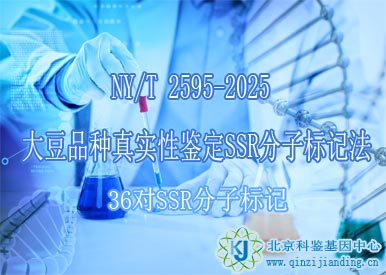 大豆品種真實(shí)性鑒定SSR分子標(biāo)記法