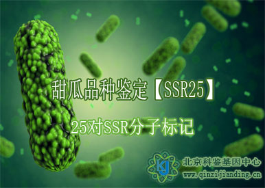 甜瓜品種鑒定【SSR25】