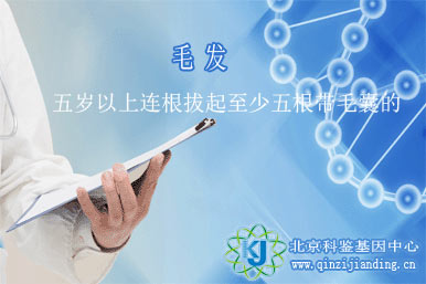 用毛發(fā)做親子鑒定需要注意哪些？
